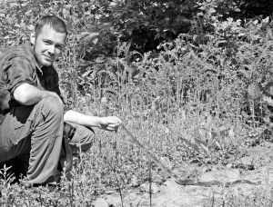 Si uite si rama...de aproape un metru. Un Coluber caspius prin padurea Comana.