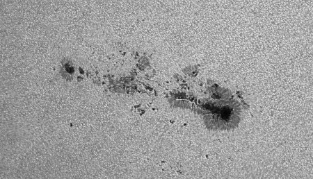 ar 1785 black_and_white image_Max