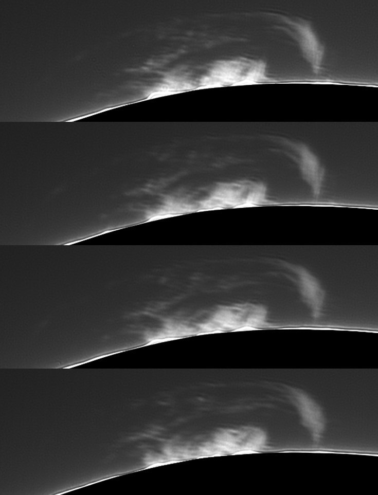 protub_evolution_max