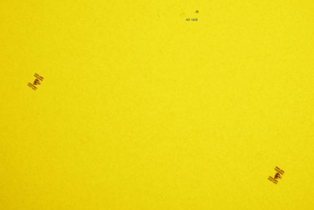 iss TRANSIT crop color