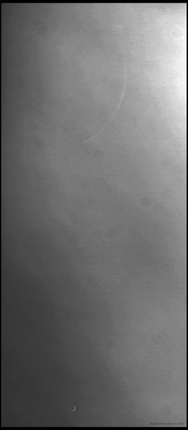 Conjunction in broad daylightBW