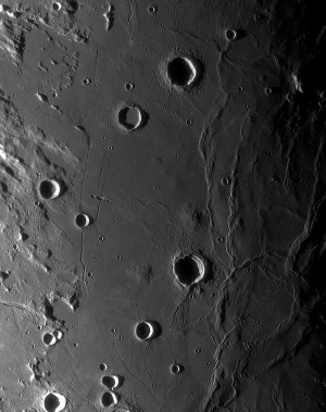 LPOD_Lamont_Maximilian