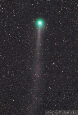 Lovejoy Q2 March 3rd