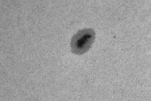 ar 2418 bw