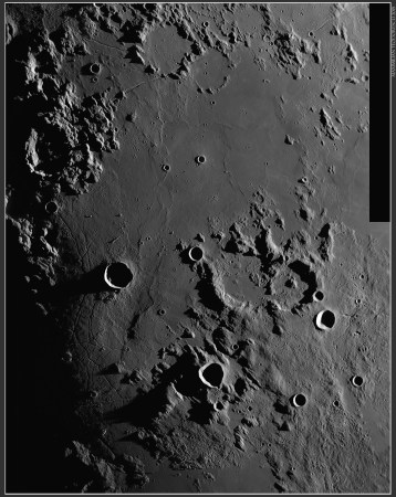 TriesnakerMaximilian2015