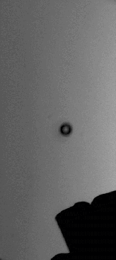 anim gaz bricheta.gif