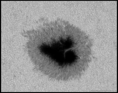 AR2529BW.jpg