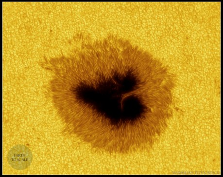 AR2529color.jpg