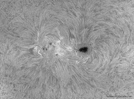 AR 2665 H ALPHA BW 7 19 UT.jpg