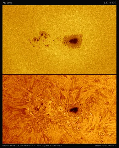 AR 2665.jpg