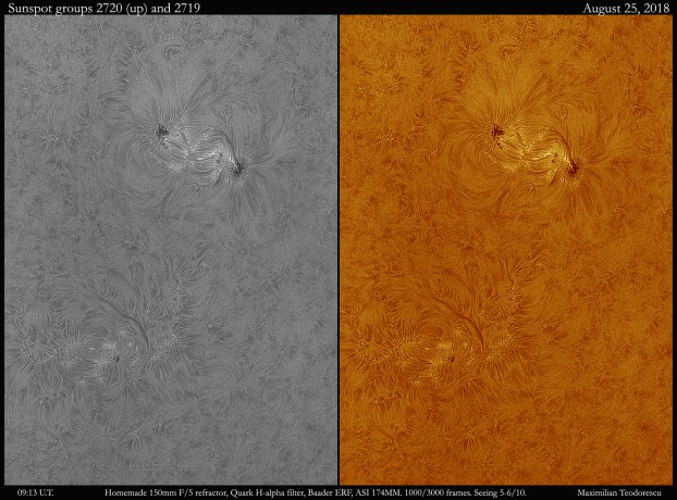 ar 27202719.jpg
