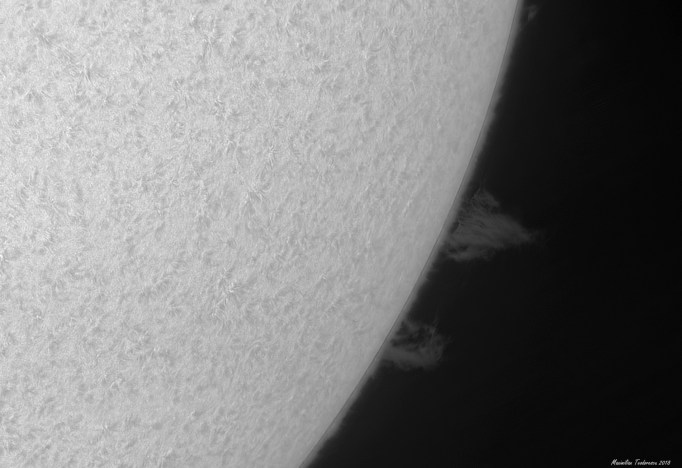 proms 09 55 ut bw.jpg