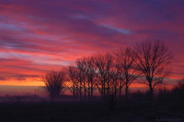 Morning colors1.jpg