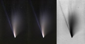 NEOWISE stars removed.jpg